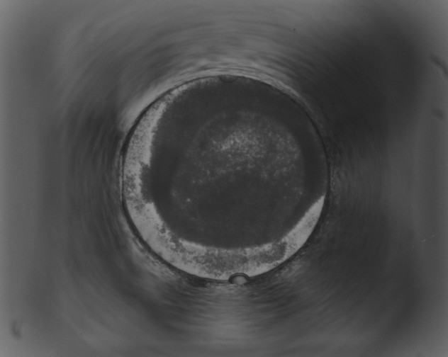 X0000103231522200809251252