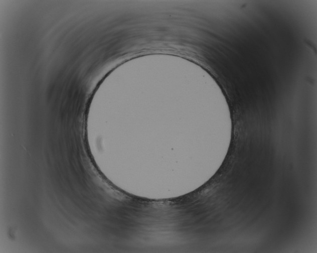 X0000103231523200809251252