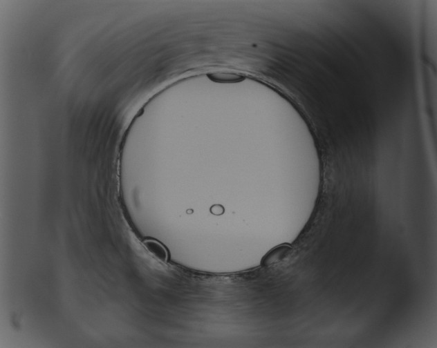 X0000103231524200809251252