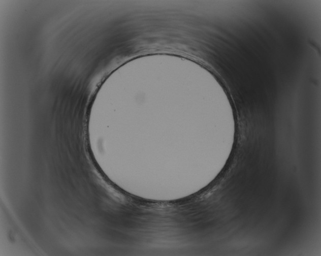 X0000103231525200809251252