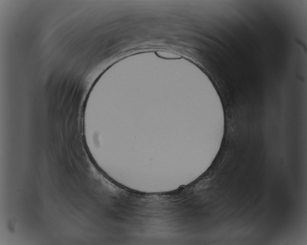 X0000103231527200809251253