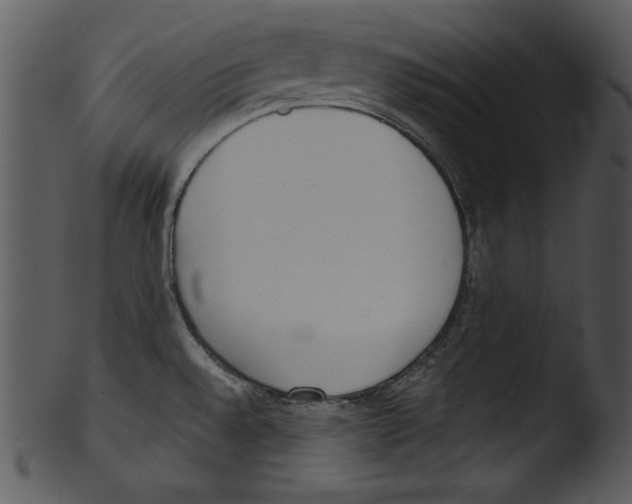 X0000103231528200809251253