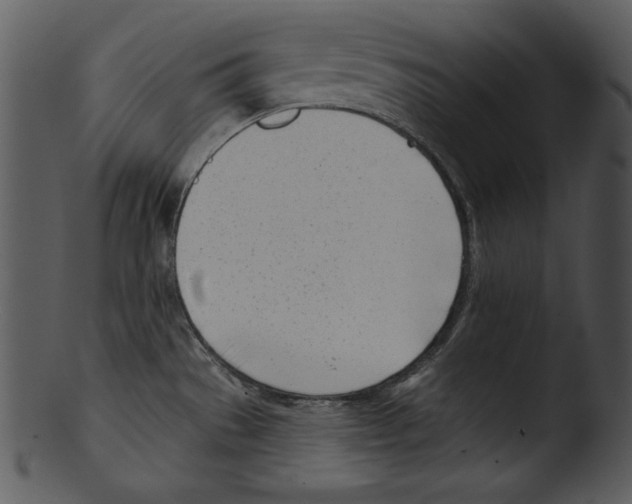X0000103231529200809251253