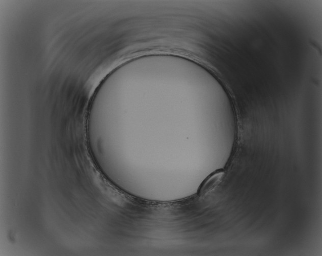 X0000103231530200809251253