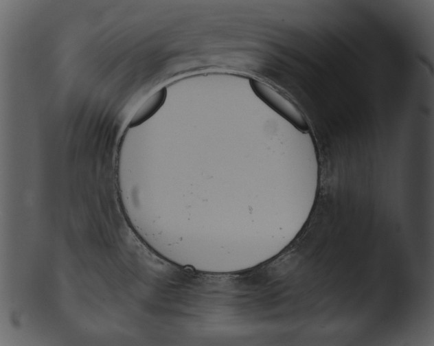 X0000103231532200809251253