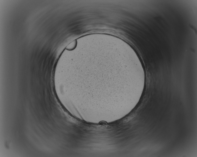 X0000103231533200809251253