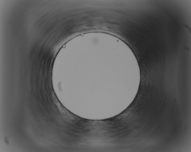 X0000103231534200809251253