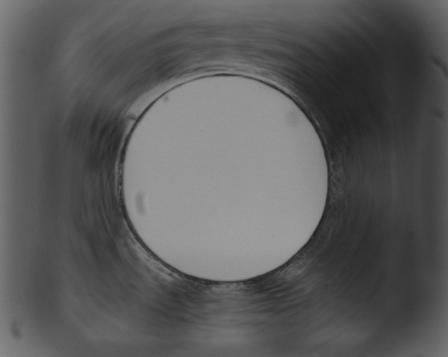 X0000103231535200809251253