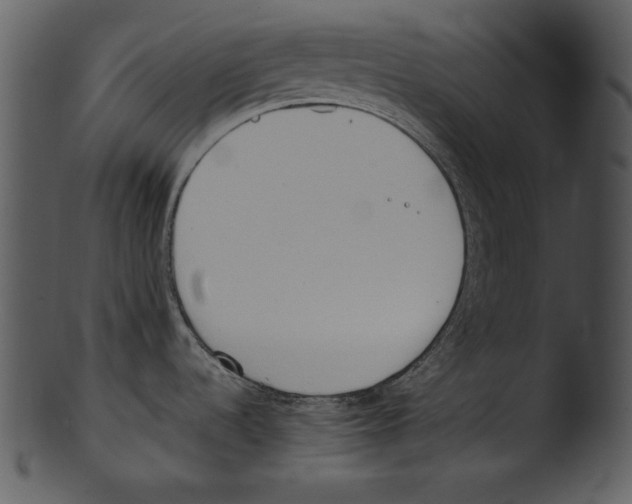 X0000103231536200809251253