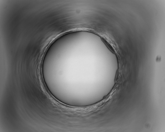X0000103240001200808281044