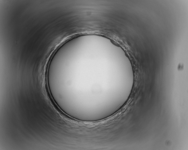 X0000103240002200808281044