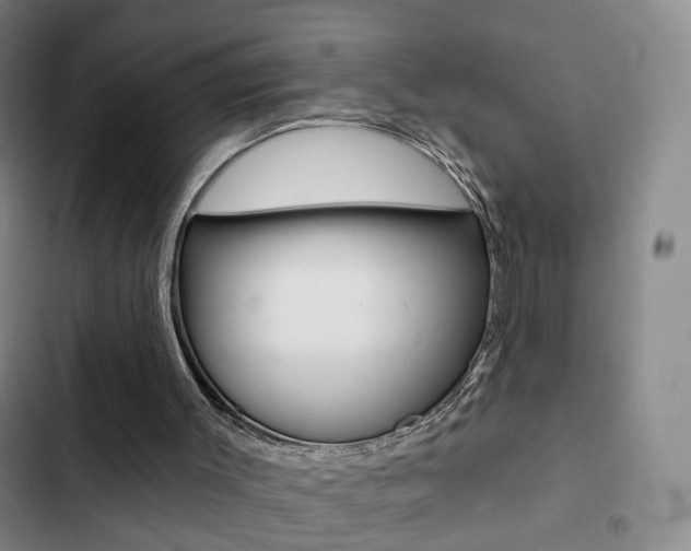 X0000103240003200808281044