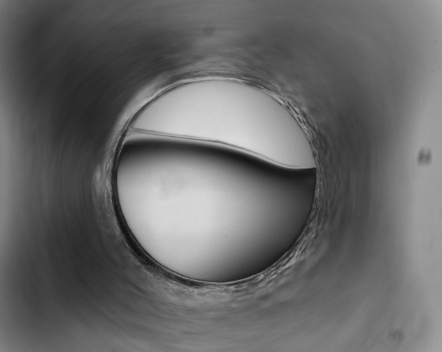 X0000103240004200808281044