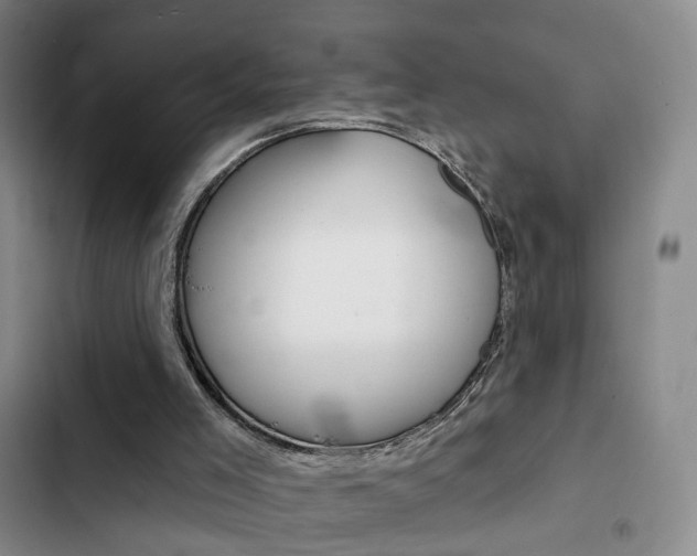 X0000103240005200808281044