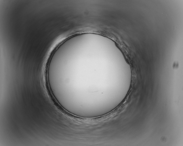 X0000103240006200808281044