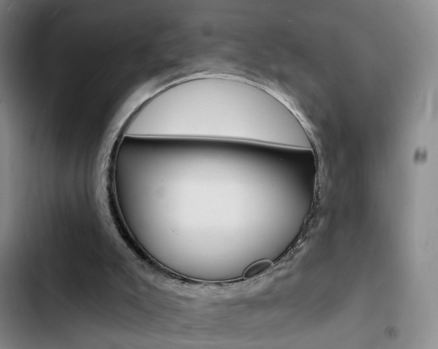 X0000103240007200808281044