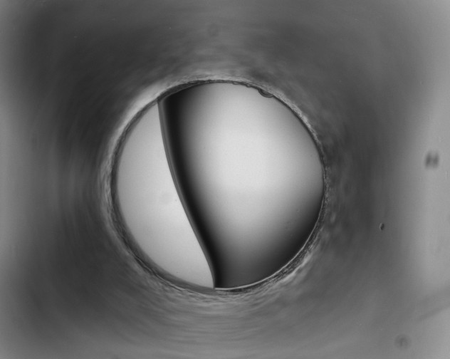 X0000103240008200808281044