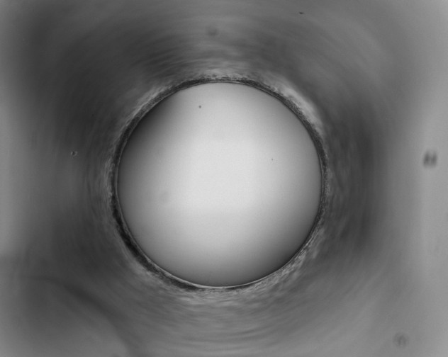 X0000103240009200808281044