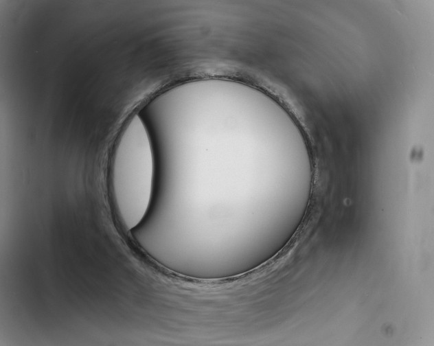 X0000103240010200808281044