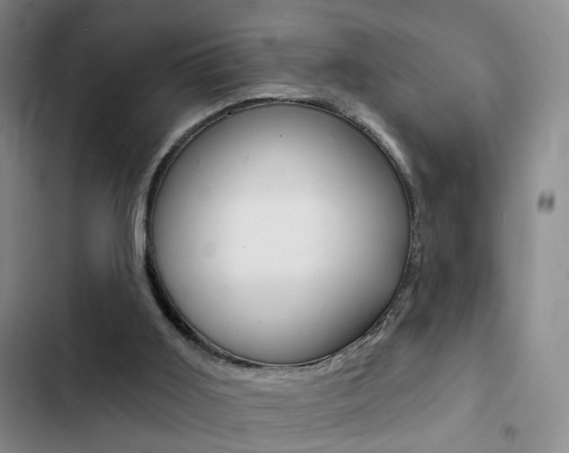 X0000103240011200808281044