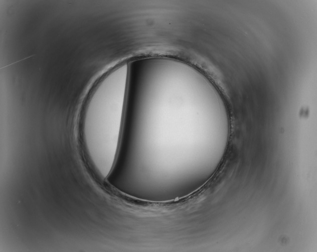 X0000103240012200808281044