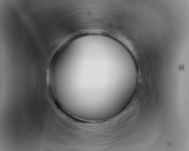 X0000103240013200808281044
