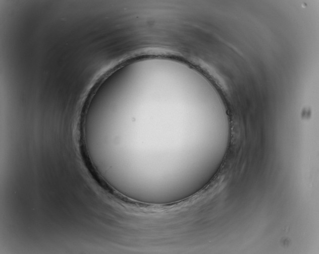 X0000103240015200808281044