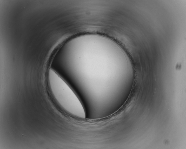 X0000103240016200808281044