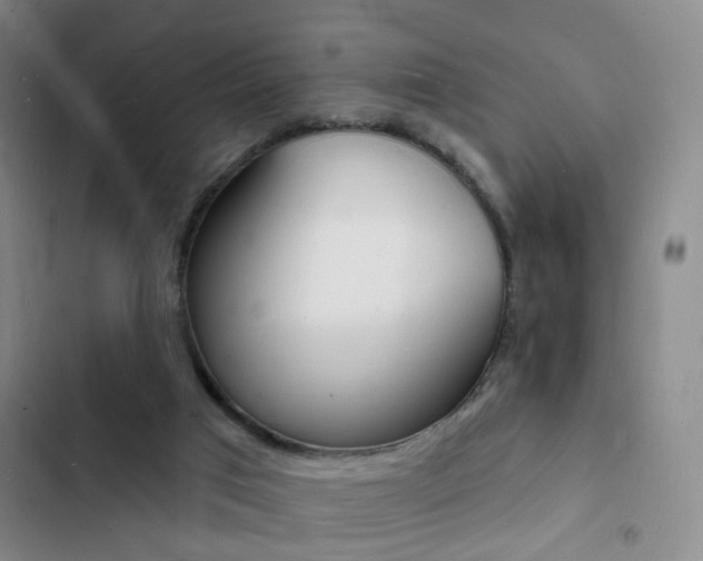 X0000103240017200808281044