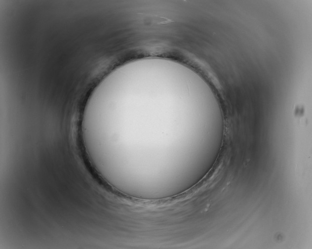 X0000103240018200808281044