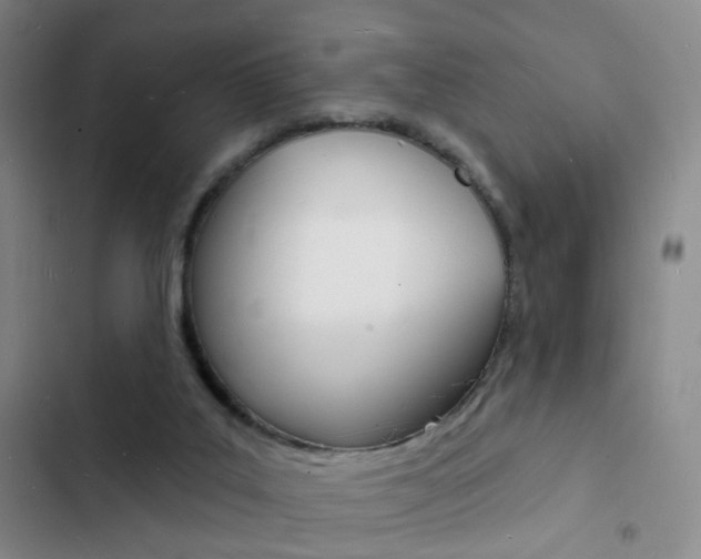 X0000103240019200808281044