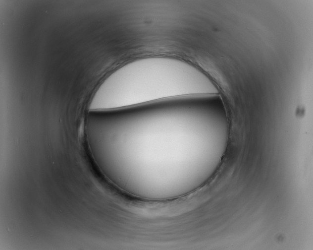 X0000103240021200808281044