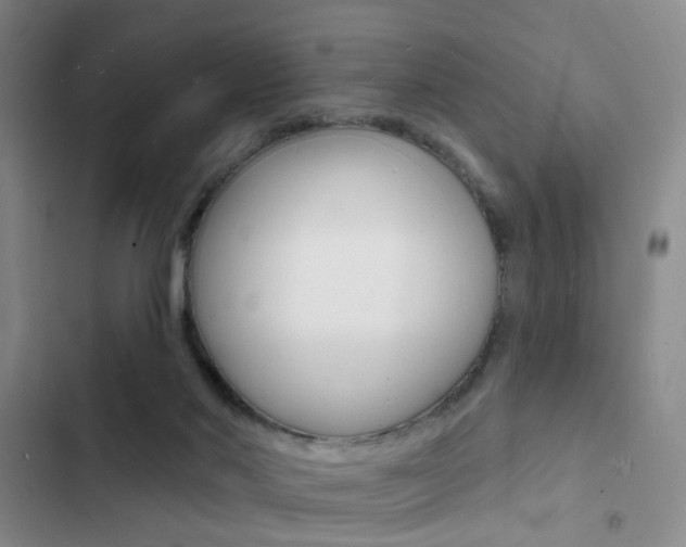 X0000103240022200808281044