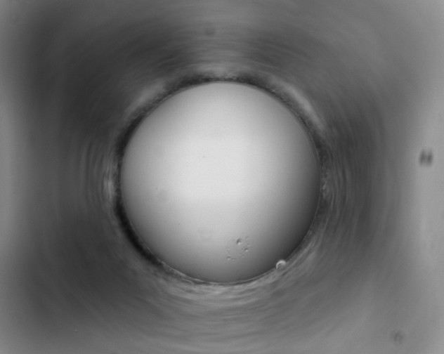 X0000103240023200808281044