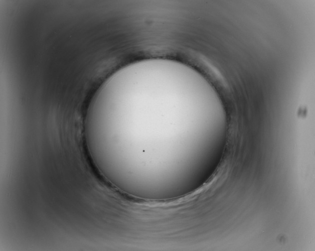 X0000103240025200808281044