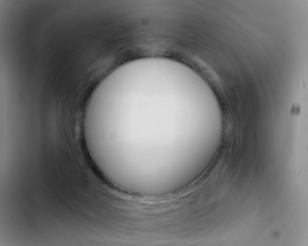 X0000103240026200808281044