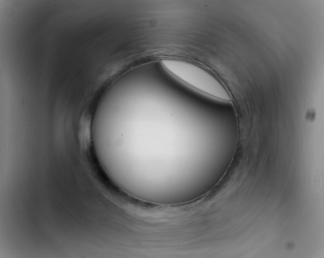 X0000103240028200808281044