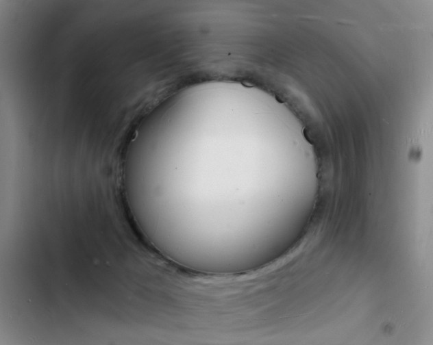 X0000103240029200808281044