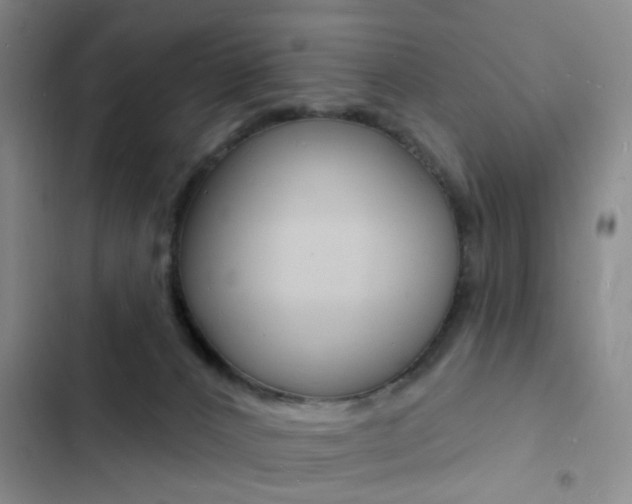 X0000103240032200808281044