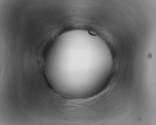 X0000103240033200808281044