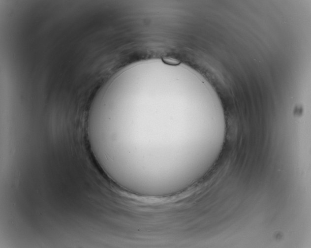 X0000103240034200808281044