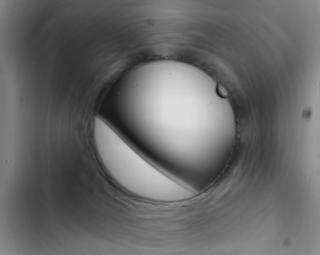 X0000103240036200808281044
