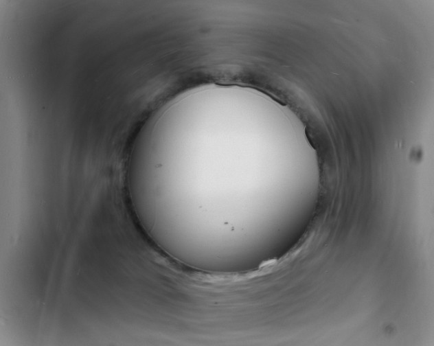 X0000103240037200808281043