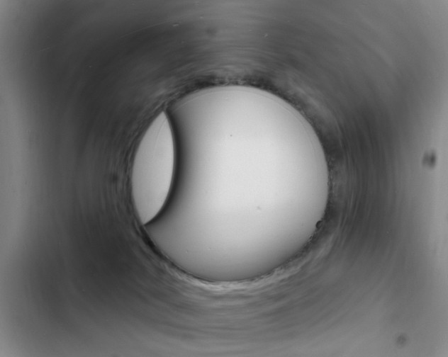 X0000103240038200808281043