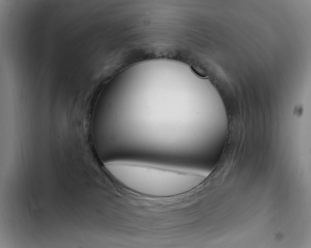 X0000103240039200808281043