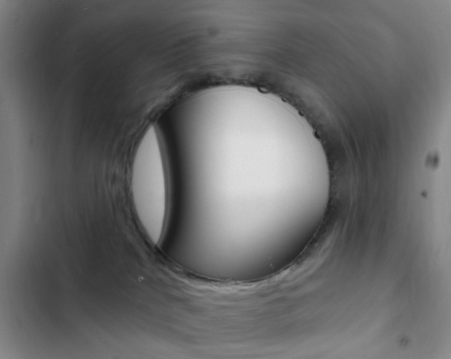 X0000103240040200808281043