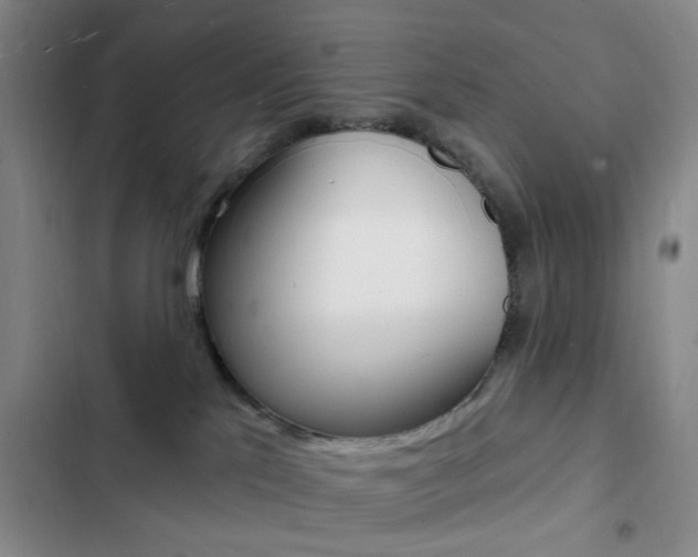 X0000103240041200808281043