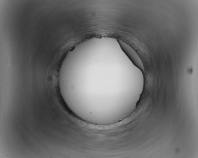 X0000103240043200808281043