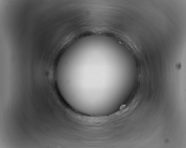 X0000103240044200808281043