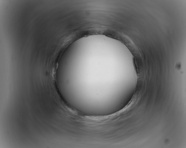 X0000103240045200808281043
